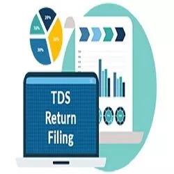 Return and Filing in India