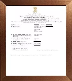 Import Export License