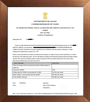 Professional Tax Certificate Assam